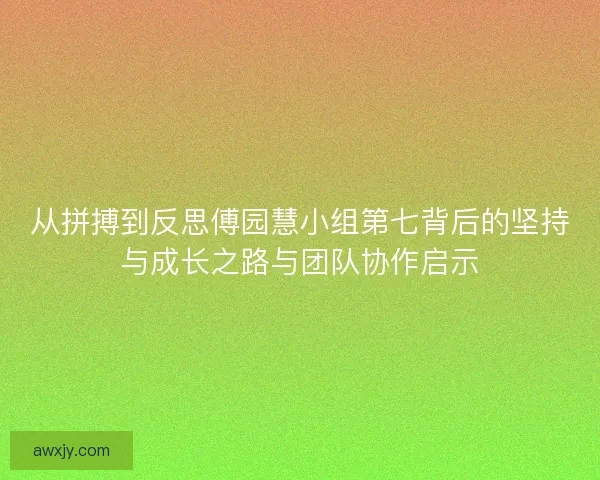 从拼搏到反思傅园慧小组第七背后的坚持与成长之路与团队协作启示
