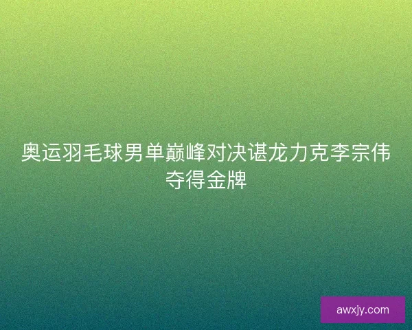 奥运羽毛球男单巅峰对决谌龙力克李宗伟夺得金牌