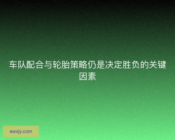 车队配合与轮胎策略仍是决定胜负的关键因素